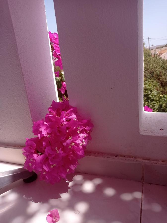 أموبي Studios Nina المظهر الخارجي الصورة